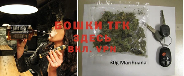 дживик Осинники