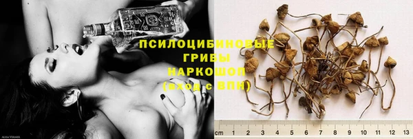 дживик Осинники