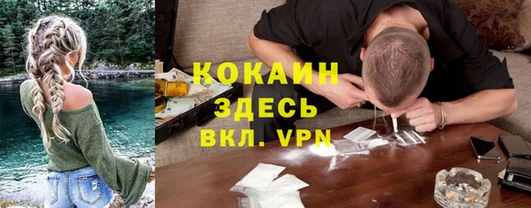 дживик Осинники