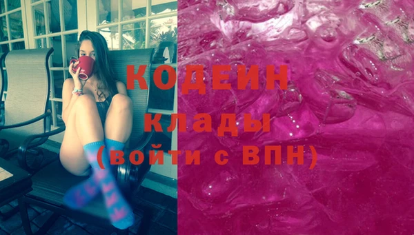 дживик Осинники