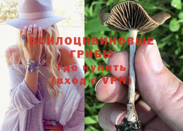 PSILOCYBIN Остров