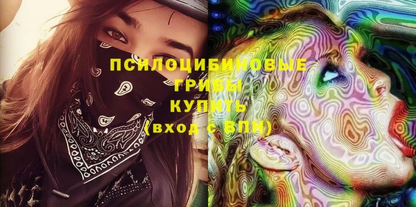 PSILOCYBIN Остров