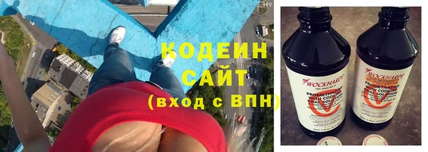 дживик Осинники